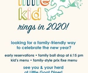 Places to Go on New Year’s Eve with Kids in Chicago